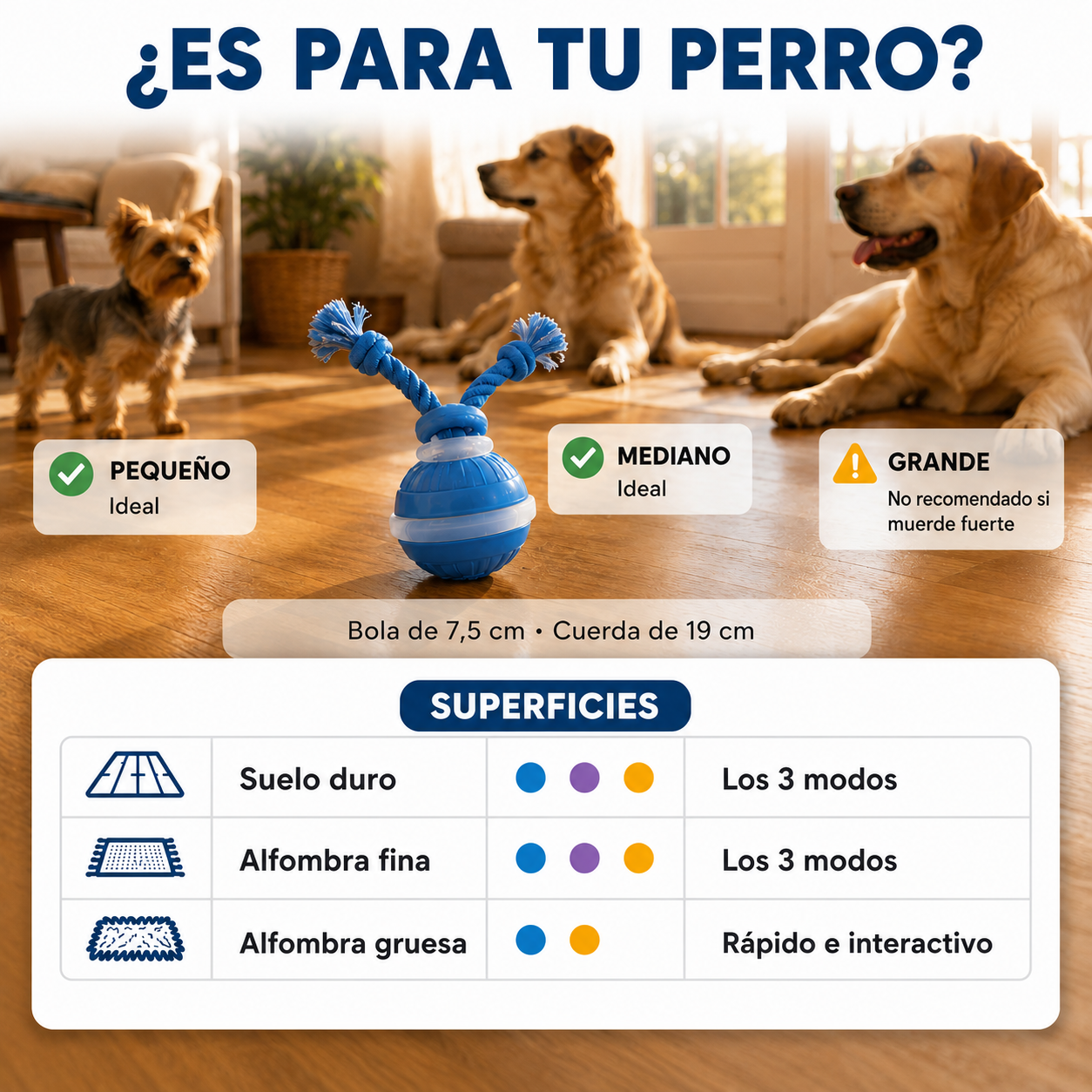 Bola interactiva - Desestresante para perros